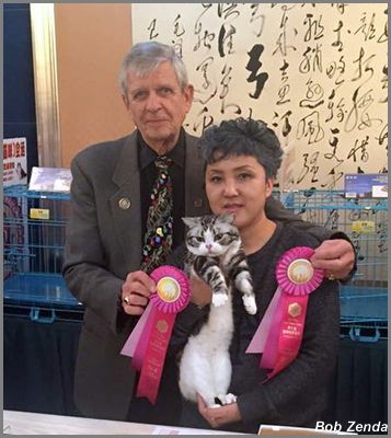 Hongdou Aaron